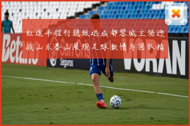 红途半程行稳致远成都蓉城主场迎战山东泰山展现足球激情与团队精神